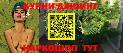 сатива Чебаркуль