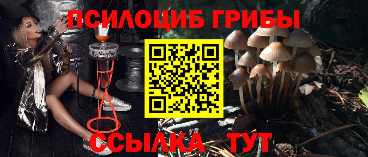Галлюциногенные грибы мухоморы Магадан