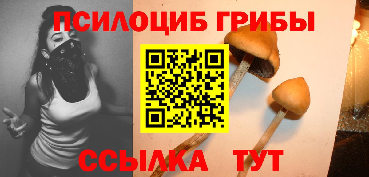 Псилоцибиновые грибы мицелий  Вход с VPN  где купить   Магадан 
